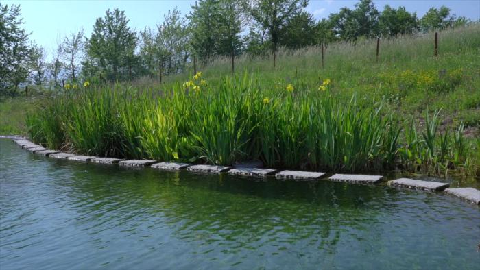 sacreterre room and breakfast