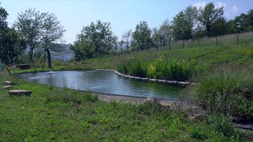 sacreterre room and breakfast