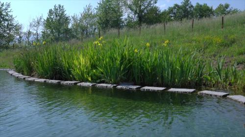 sacreterre room and breakfast