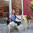 madalenas bandb