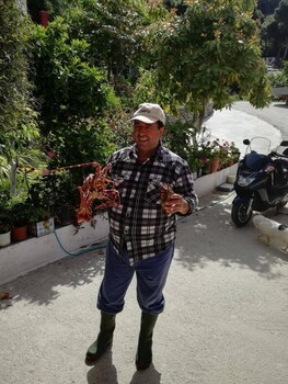 corfu
