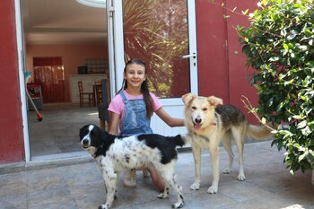 madalenas bandb