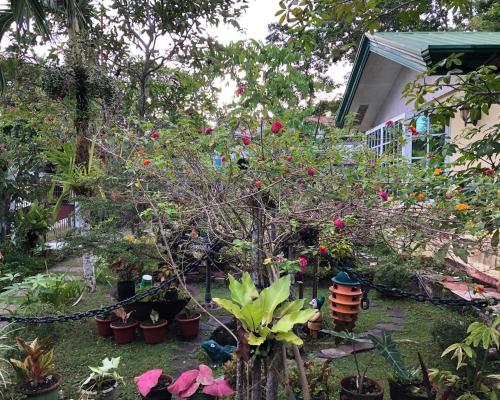 villa 301 bandb