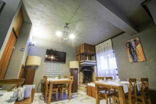 the green goose hotel
