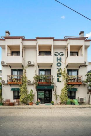 the green goose hotel