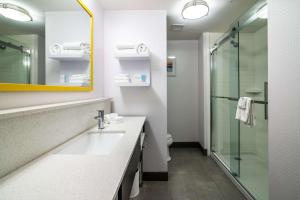 hampton inn and suites allen park