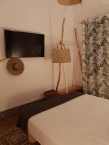 las palmas de gran canaria