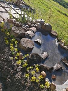 lauradale accommodation