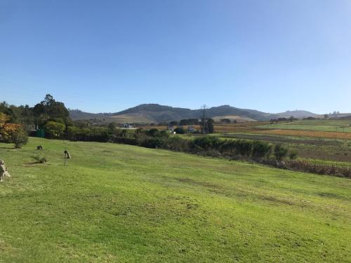 lauradale accommodation