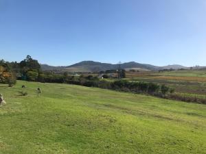 lauradale accommodation