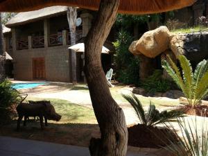 bushmans rock country lodge