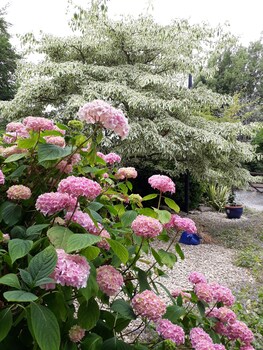 stoneleigh barn bandb