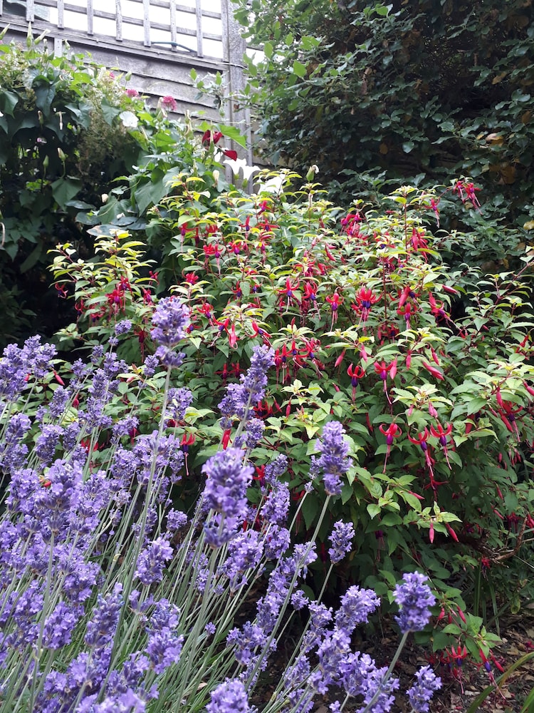 stoneleigh barn bandb