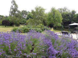 stoneleigh barn bandb