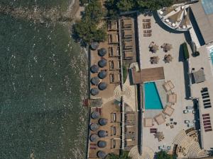 tsamis zante suites adults only