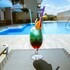 gregory comfort hotel
