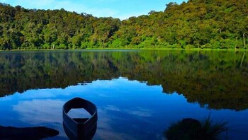 hotel vintage casa las flores