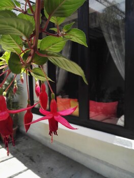 casa elizabeth