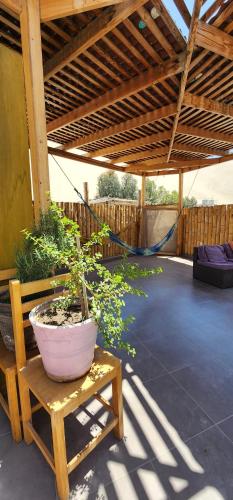 la casa de bamboo