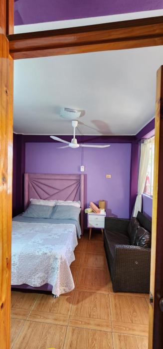 la casa de bamboo