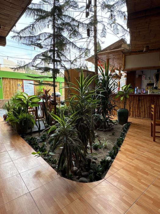 la casa de bamboo