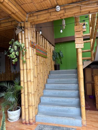 la casa de bamboo