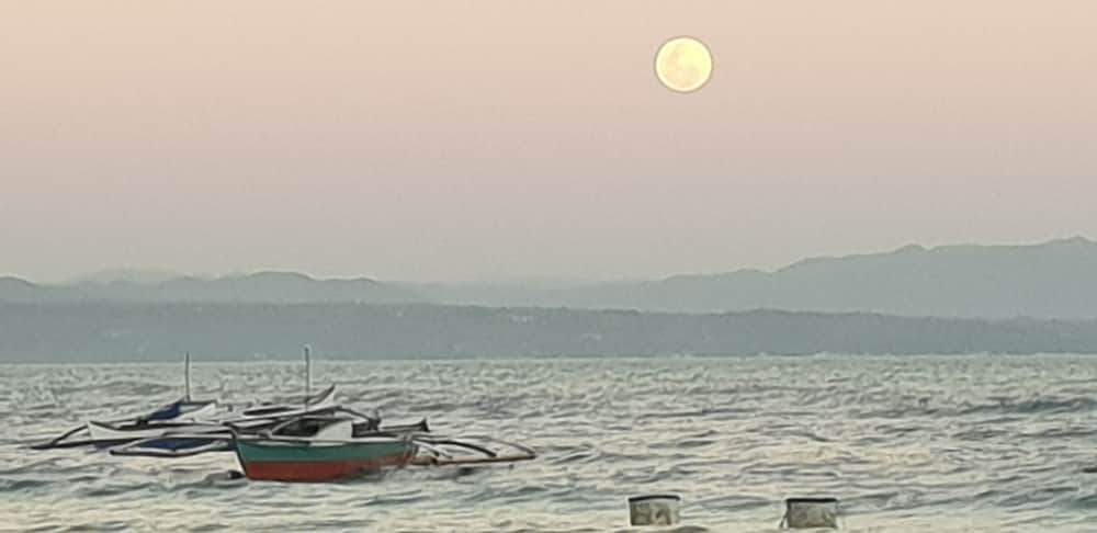 seapearl of alona
