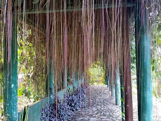 gardens of malasag eco tourism village