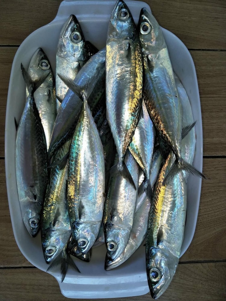 aundanao oasis beach