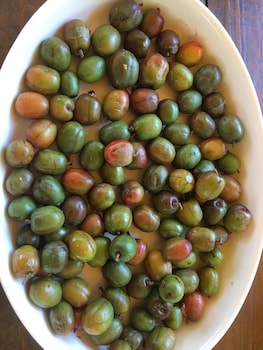 aundanao oasis beach