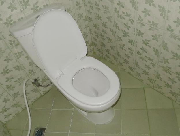 amos digue pension house