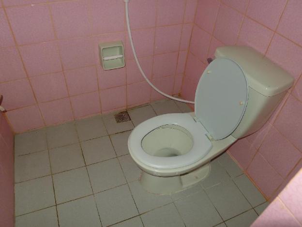 amos digue pension house