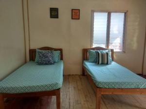 nelmanns nipa huts