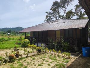 nelmanns nipa huts
