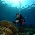 the blue abyss resort
