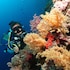 the blue abyss resort