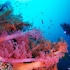 the blue abyss resort