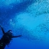 the blue abyss resort
