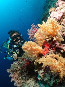 the blue abyss resort