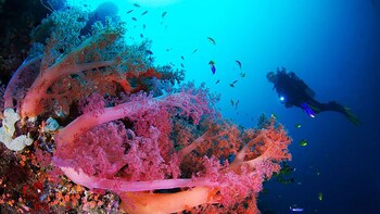 the blue abyss resort
