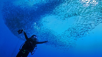 the blue abyss resort