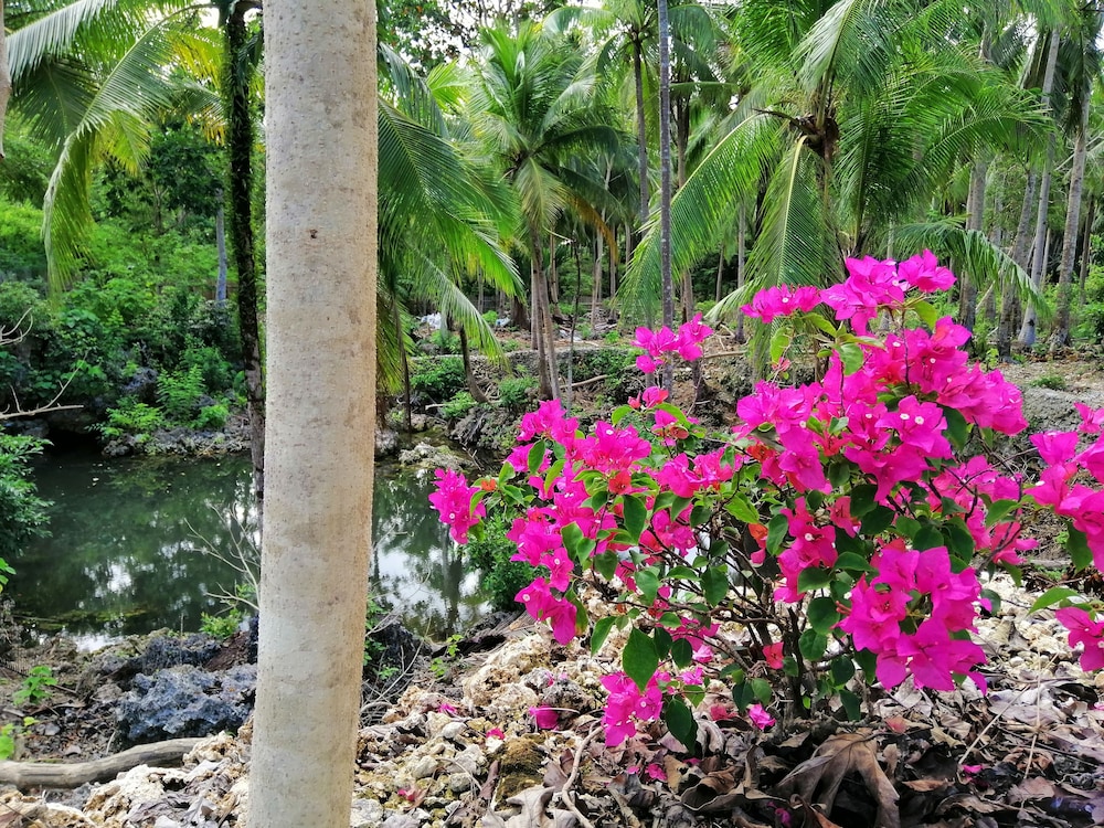 andnindot garden resort