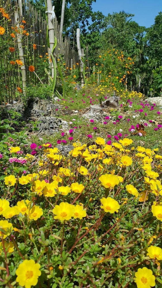 andnindot garden resort