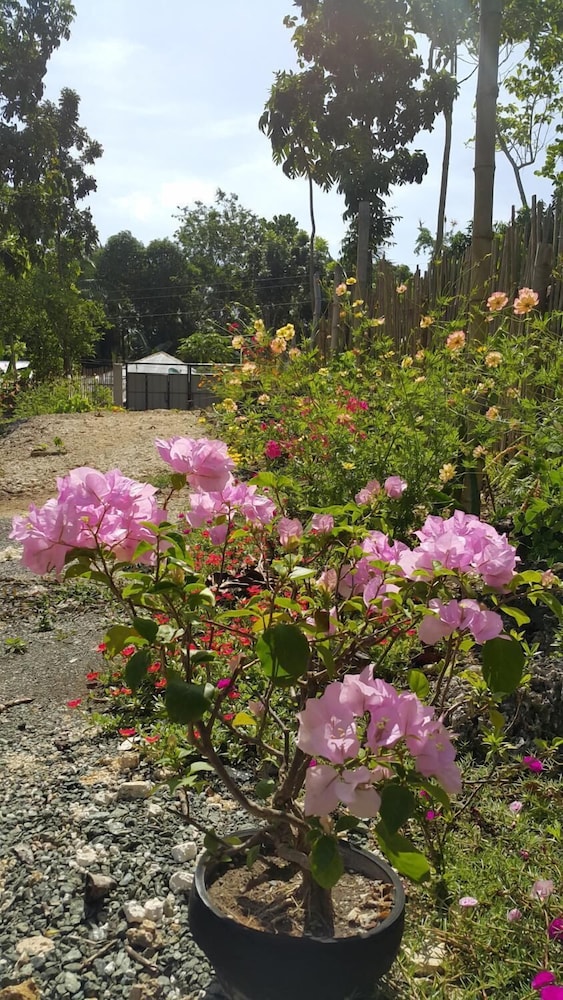 andnindot garden resort