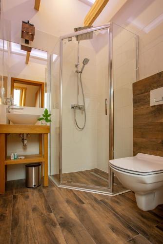 stacja zakopane apartamenty w centrum