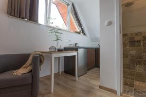 stacja zakopane apartamenty w centrum