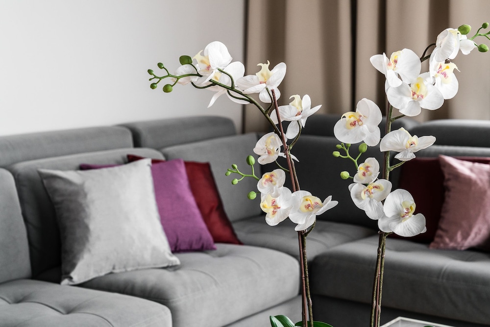 old town river point by welcome apartment