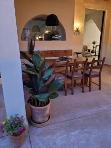 casal de petra rooms and pool