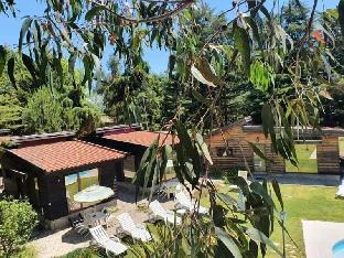 moimenta da beira