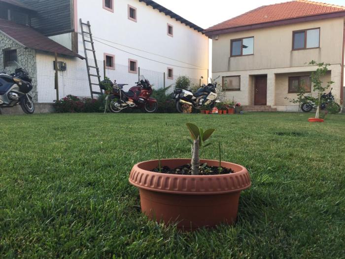 casa noastra vama veche